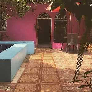 book here